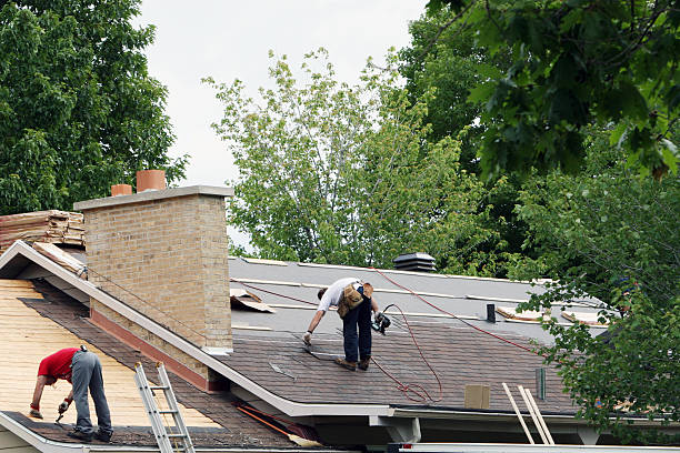 Best Storm Damage Roof Repair  in Plano, KY