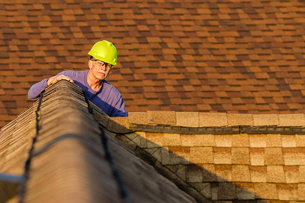Roof Gutter Cleaning in Plano, KY