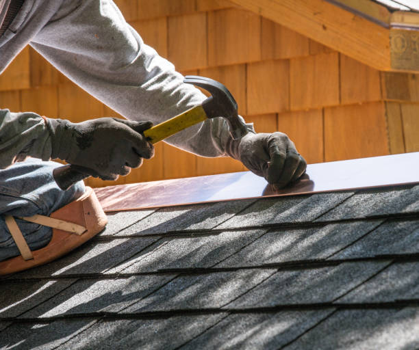 Best Roof Gutter Cleaning  in Plano, KY